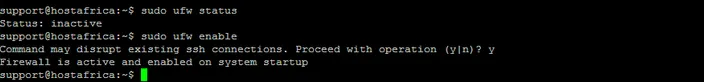 terminal output