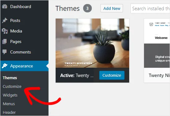 how to access wordpress customizer