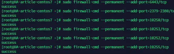 terminal output