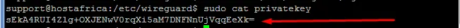 terminal output