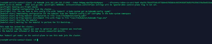 terminal output