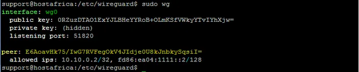 terminal output