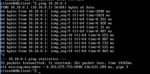 terminal output