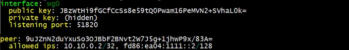 output for wg command on WireGuard VPN server