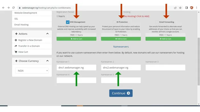 Domain configuration page with DNS Management ticked and the nameserver fields filled in
