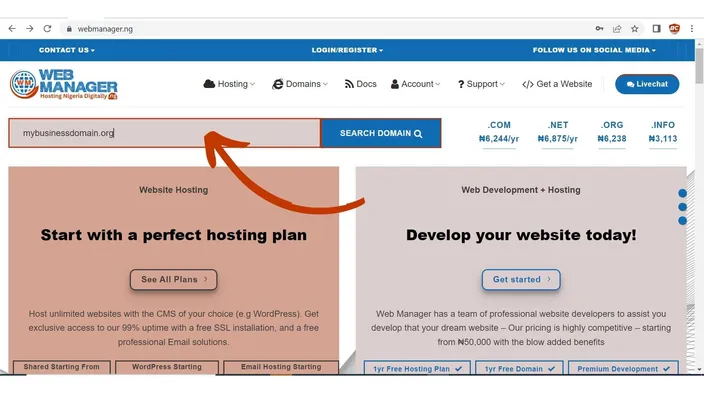 Hosting home page with an example domain name typed into the domain search bar