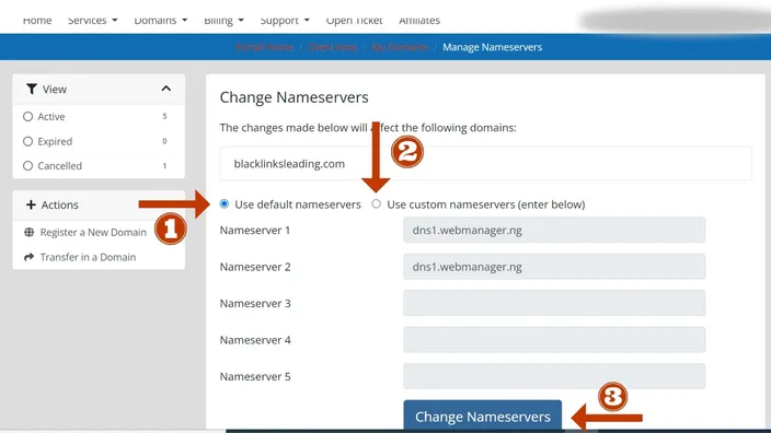 Updating Nameserver Records