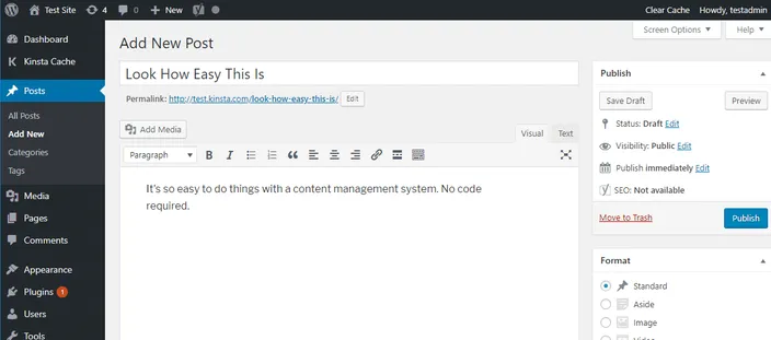 WordPress content writing interface