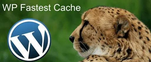 wp fastest cache