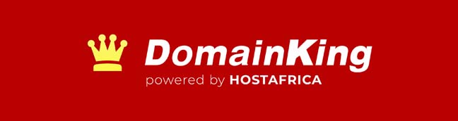 domain king logo
