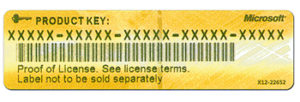 license model