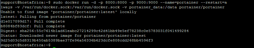 terminal output