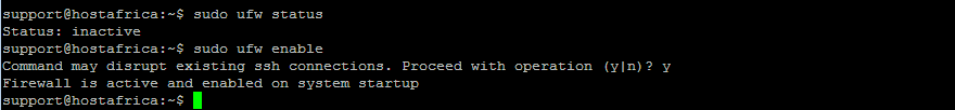 terminal output