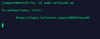 tailscale auth