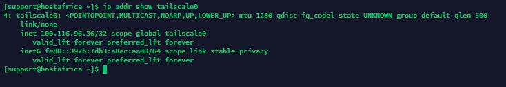 ip address command output