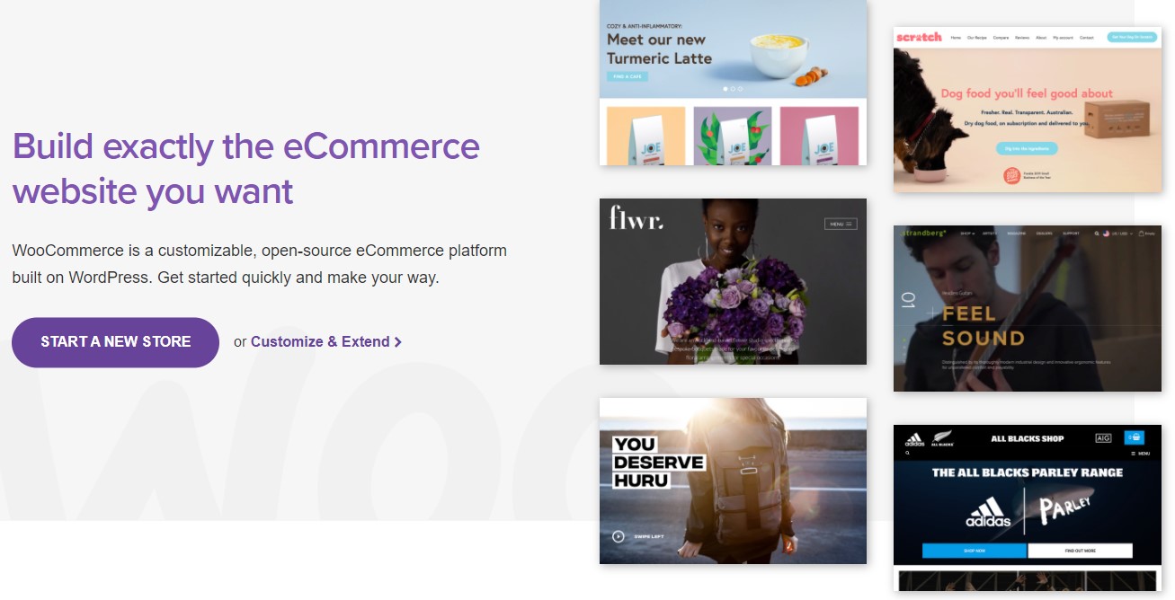 screenshot WooCommerce Homepage