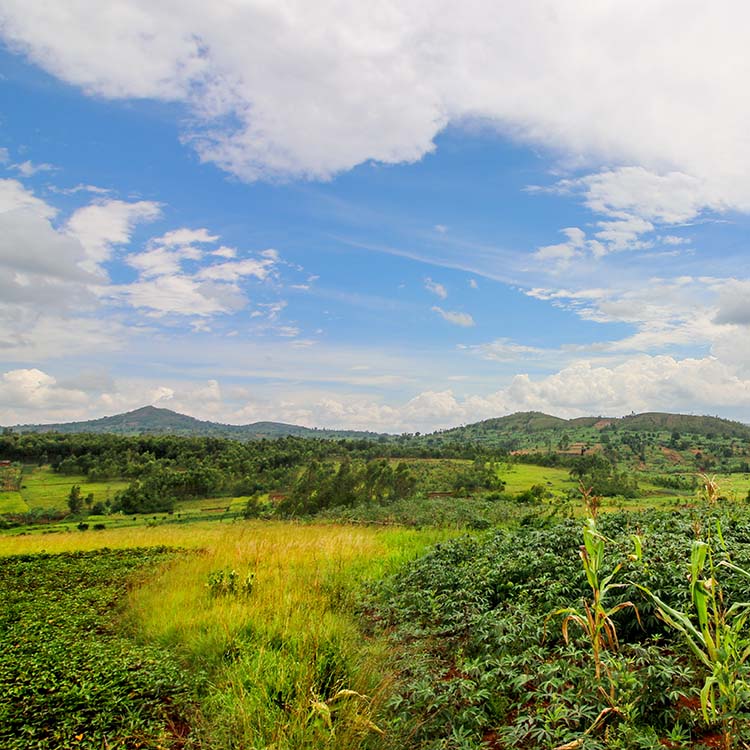 landscape in Burundi
